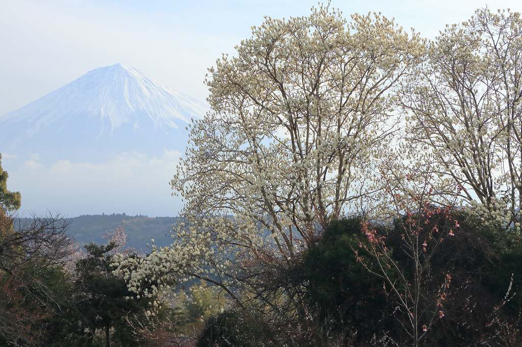 a0188405_19321884.jpg