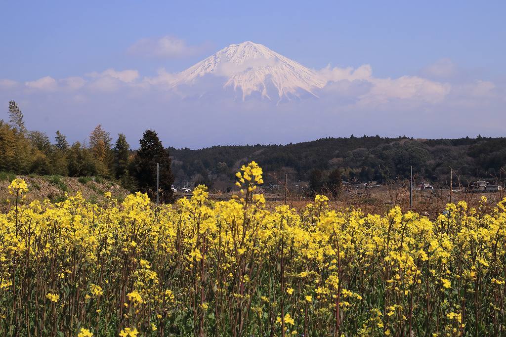 a0188405_22232560.jpg