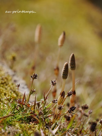 c0098807_20191518.jpg