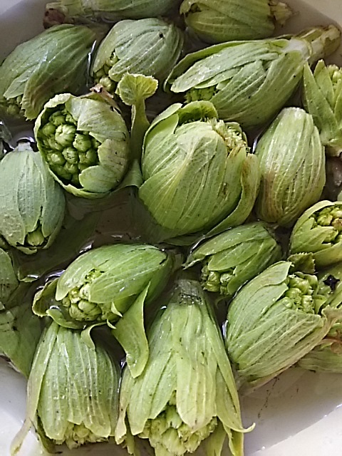 f0316507_17023347.jpg