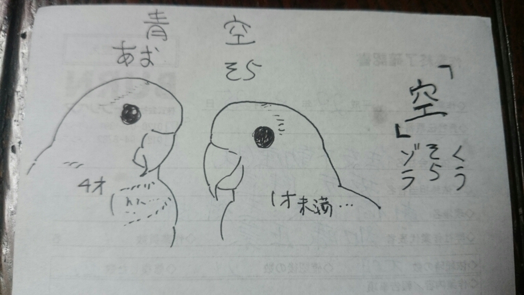 a0228408_14503645.jpg