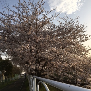 b0085408_2316383.jpg