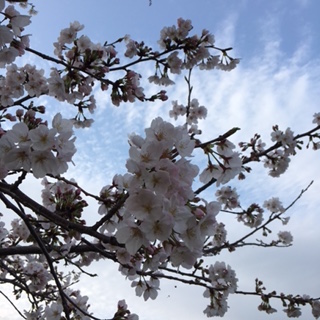 b0085408_23165855.jpg