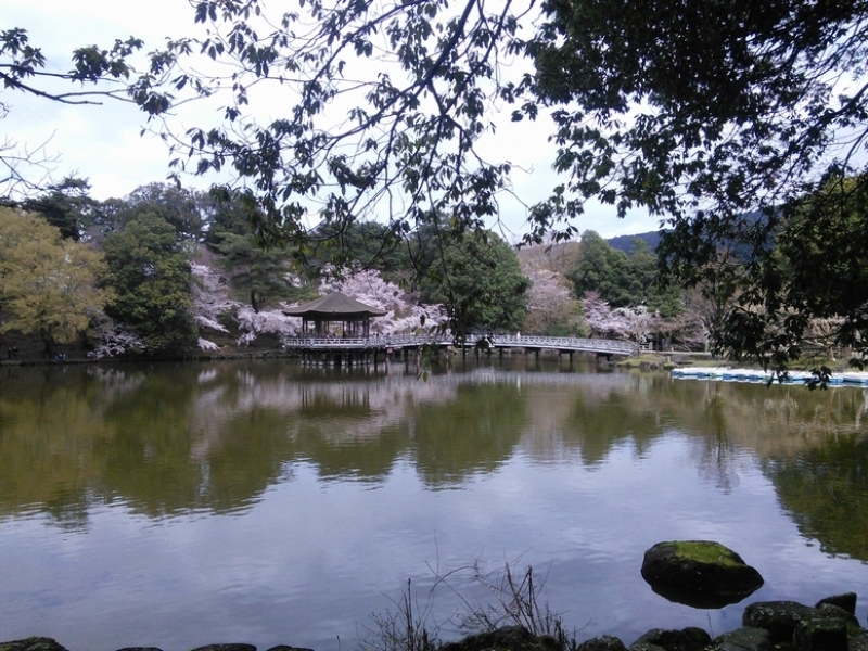 c0149408_13363415.jpg
