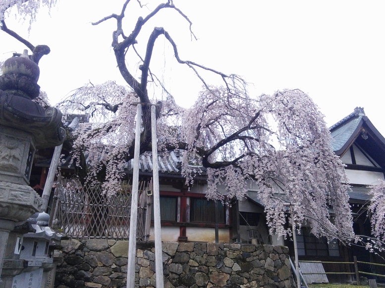 c0149408_13370799.jpg