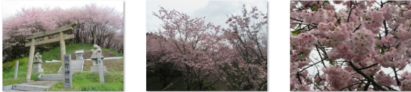 f0231709_2325025.png