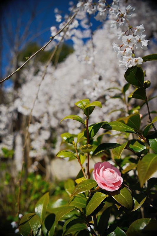 f0032011_18064133.jpg
