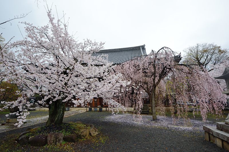 f0032011_19122110.jpg