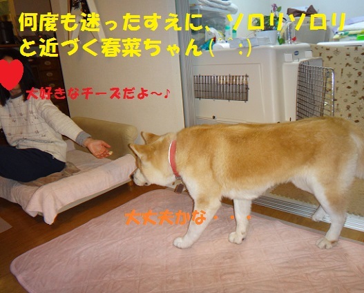 f0121712_15491460.jpg