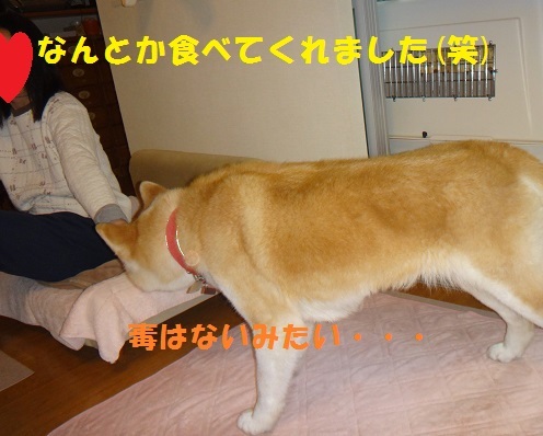 f0121712_15491908.jpg