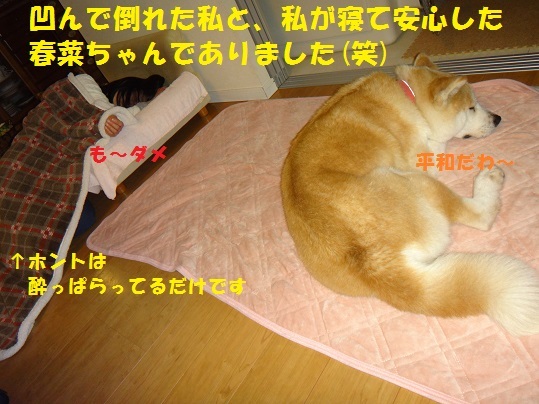 f0121712_15564206.jpg