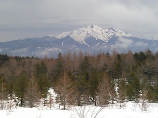 c0359615_21423335.jpg