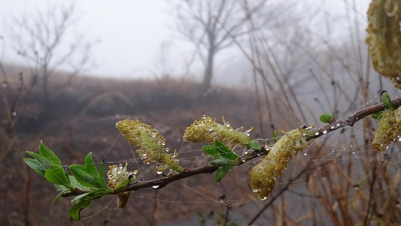 e0350415_22394191.jpg