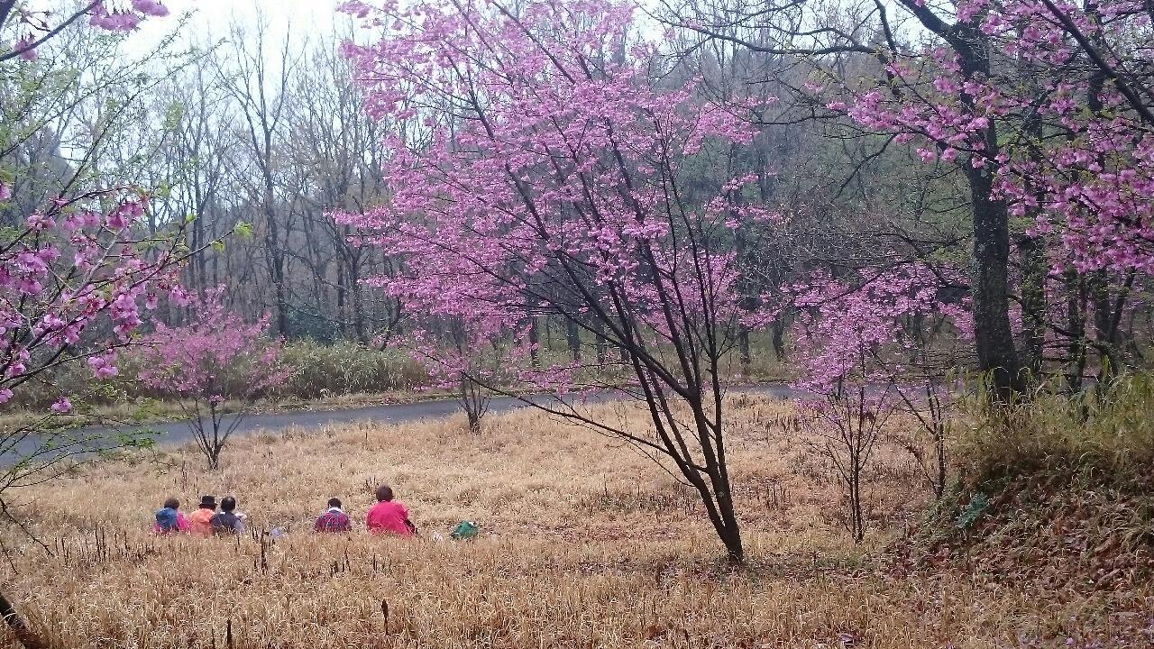 e0350415_23051967.jpg