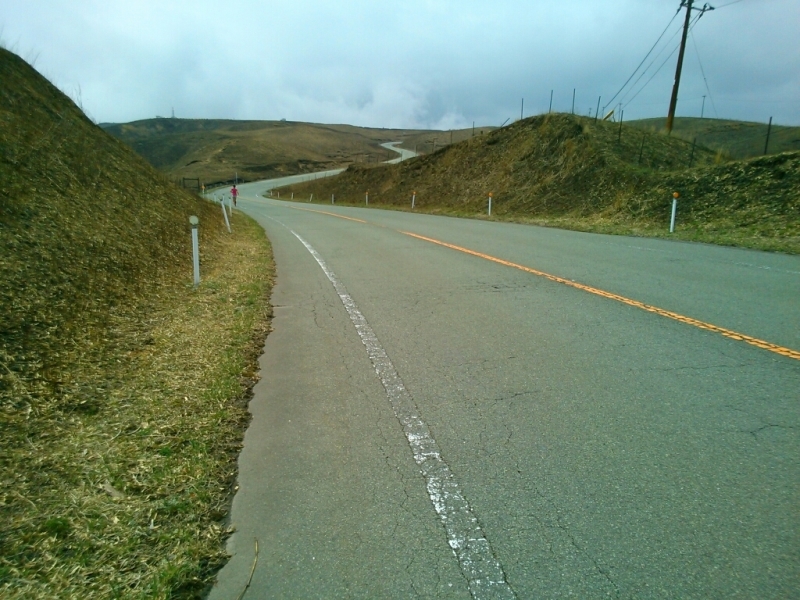 d0158621_20232219.jpg