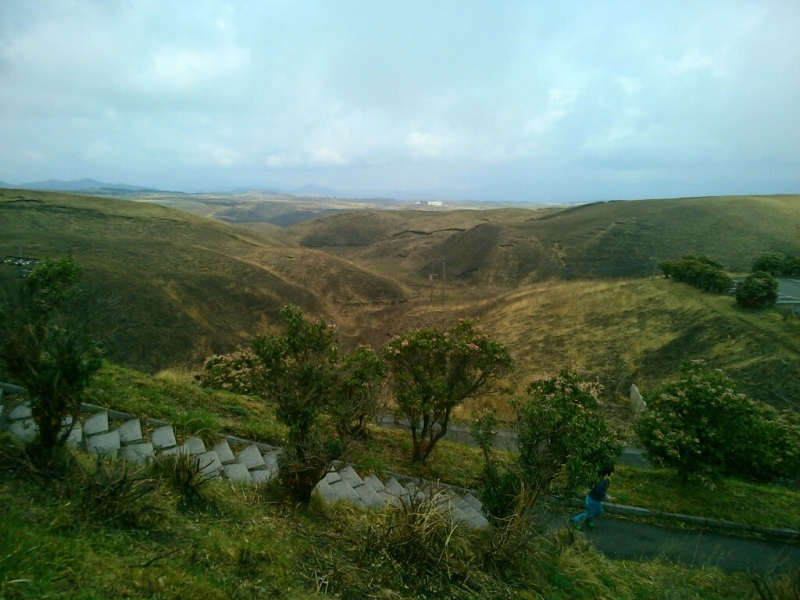 d0158621_21031689.jpg