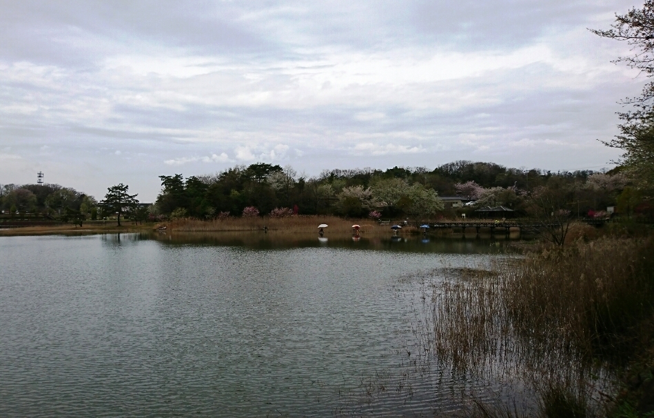 d0257922_17320821.jpg