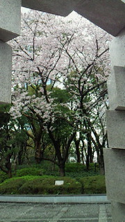 b0170623_0521899.jpg