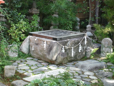 d0250123_20072521.jpg