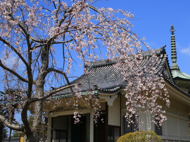 c0104227_21205853.jpg