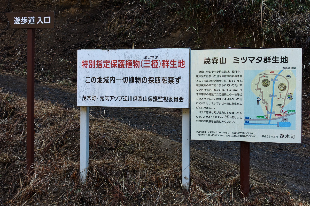 d0137627_005224.jpg