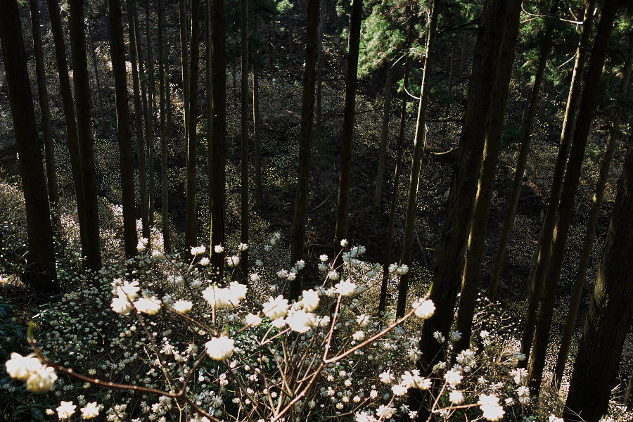d0137627_0124896.jpg