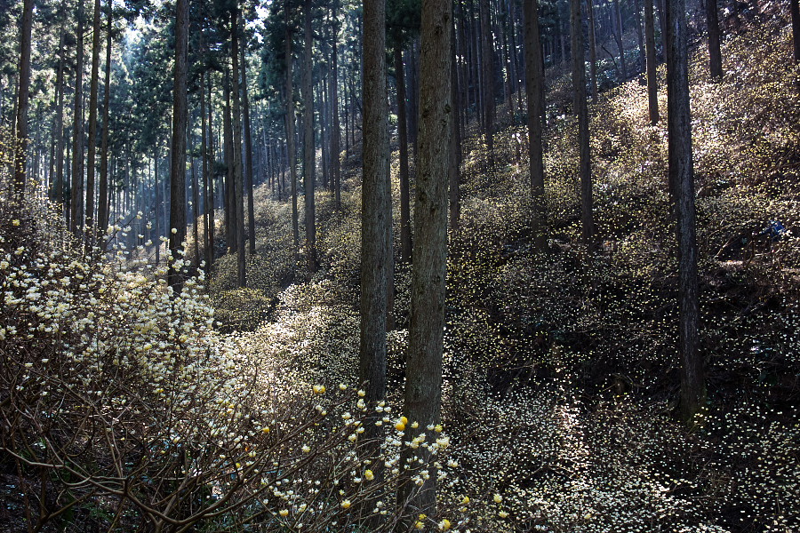 d0137627_013410.jpg