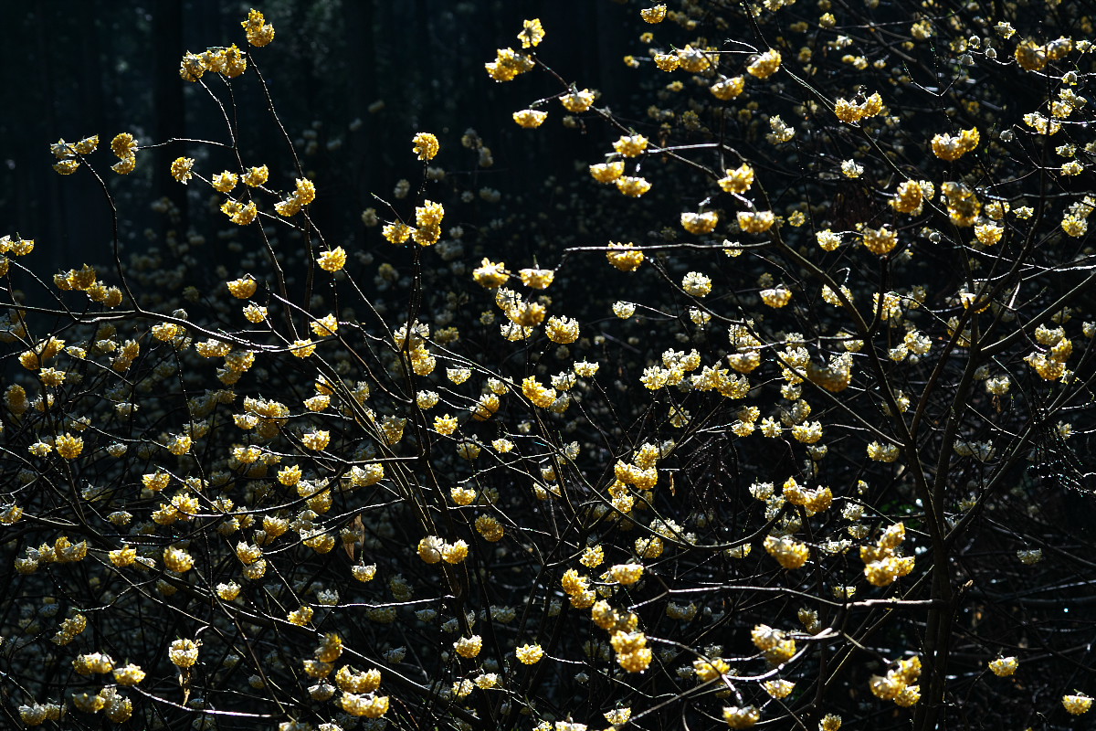 d0137627_0285741.jpg