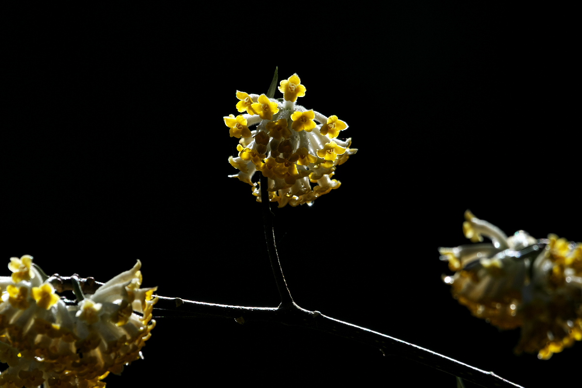d0137627_0315760.jpg