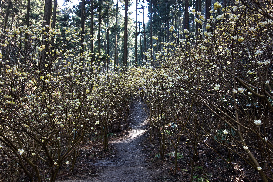 d0137627_043481.jpg