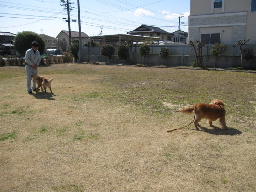 e0350927_09334740.jpg