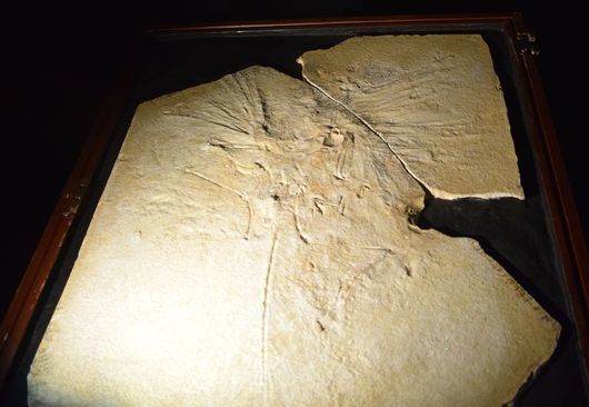 c0162128_15011644.jpg