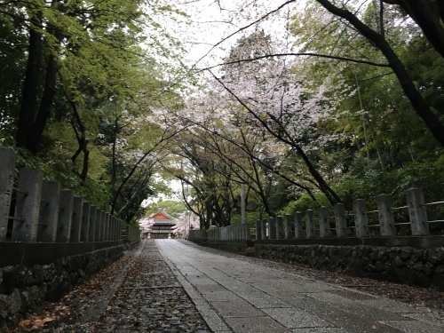 b0004229_07090374.jpg