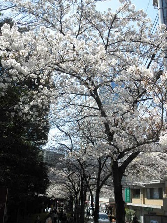 c0311729_11324651.jpg