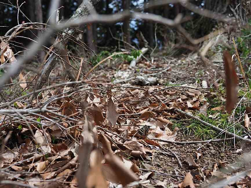 d0303129_14383194.jpg