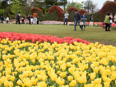 e0033229_1838031.jpg