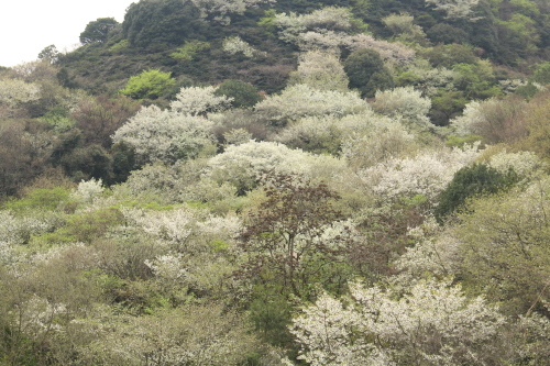 a0345833_19360588.jpg