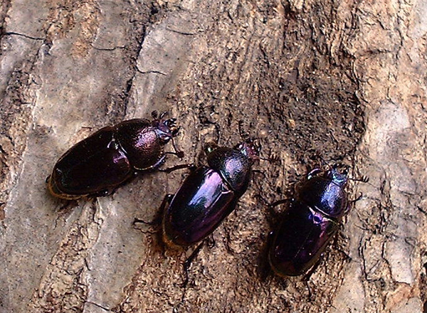 e0097534_16263388.jpg