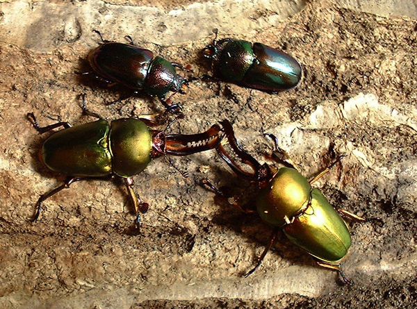 e0097534_1627449.jpg