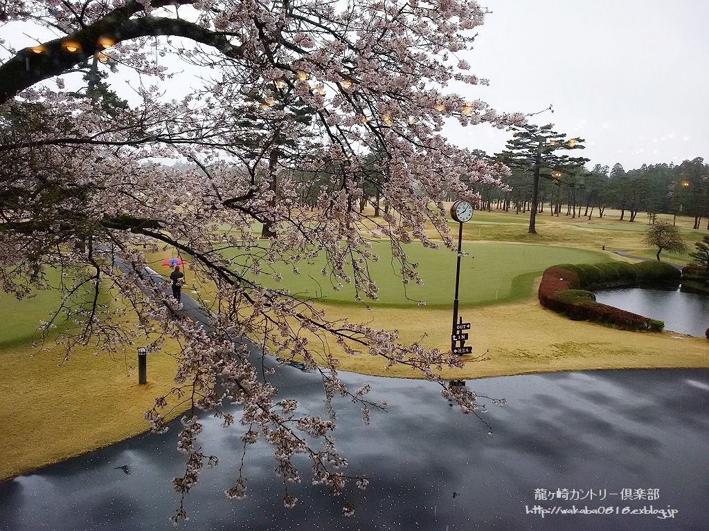 e0052135_16070374.jpg