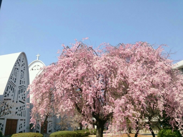 a0326636_15165376.jpg
