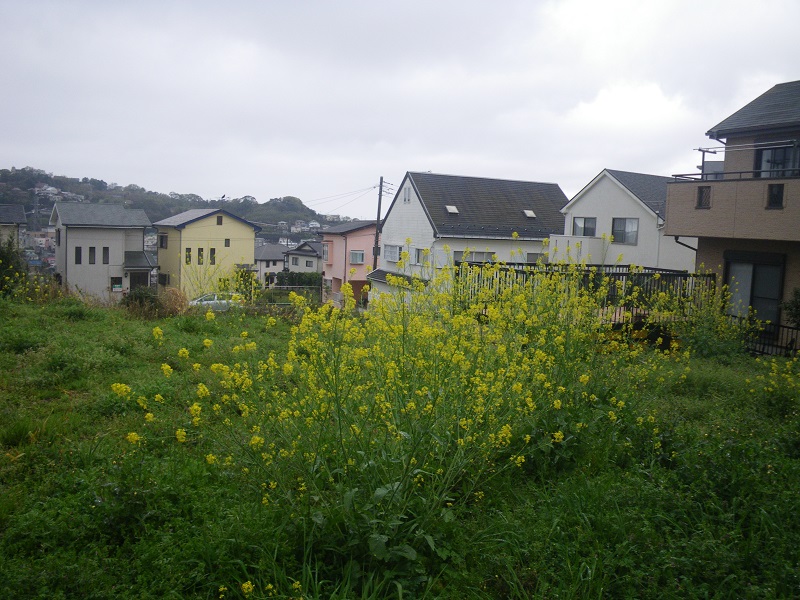 c0033636_20525448.jpg