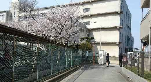 c0348636_16574320.jpg
