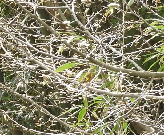 f0113136_2013677.jpg