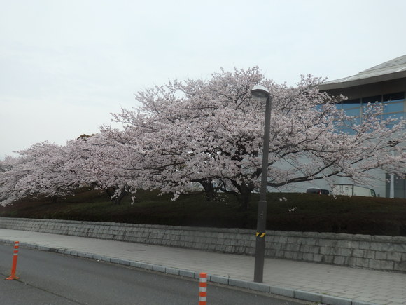 a0054240_221362.jpg