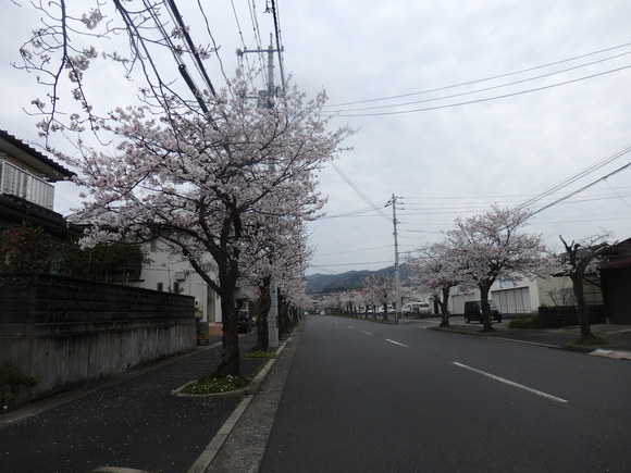 a0054240_2215588.jpg