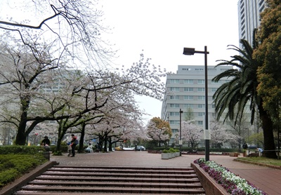 b0120541_1185281.jpg