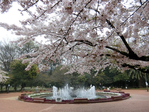 b0120541_1185667.jpg