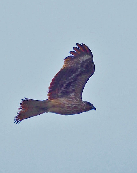 d0027244_21263546.jpg