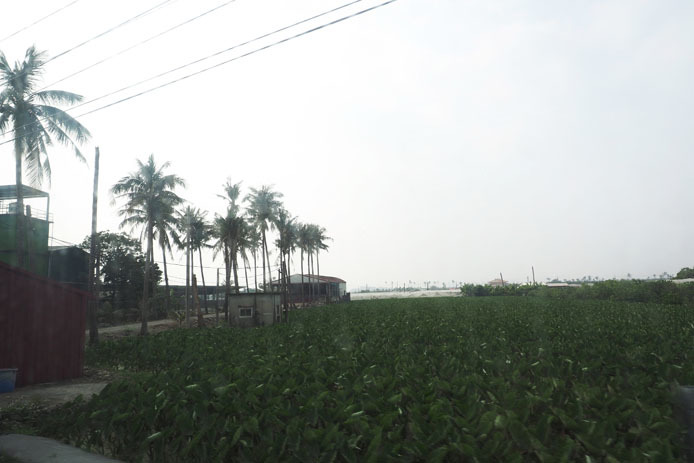 d0149245_11073145.jpg